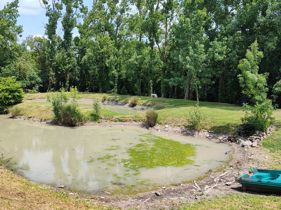 Au Clos Des Templiers主图