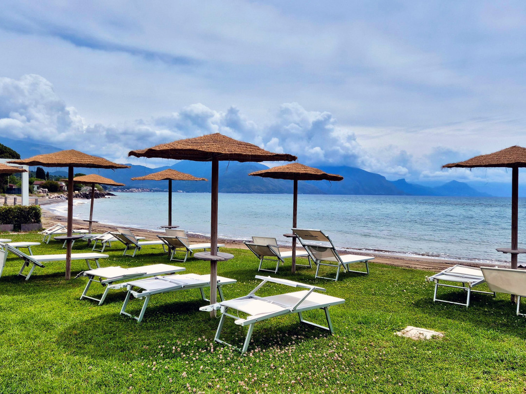 Krio Gelsomare主图