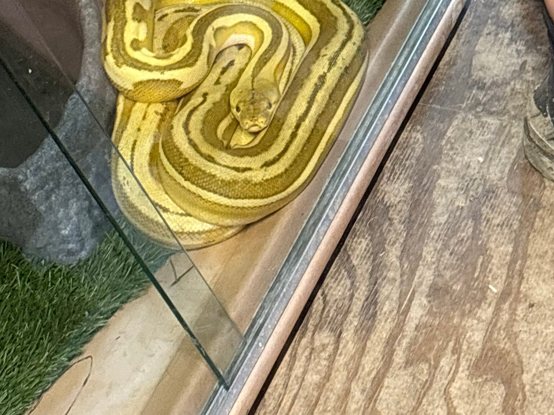 Kliebert & Sons Gator Tours-Ponchatoula必去景点