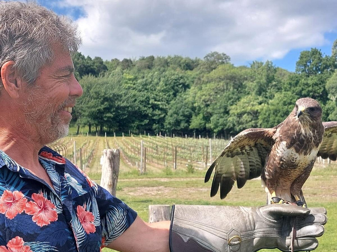 UK Owl And Raptor Centre景点图片