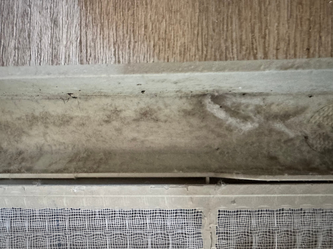 Comfort Inn Pensacola - University Area主图