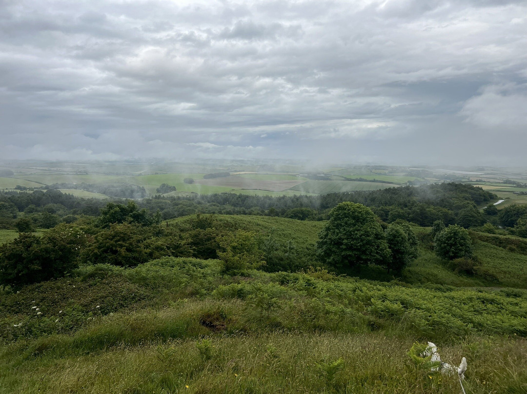 Hardy's Monument-多切斯特必去景点