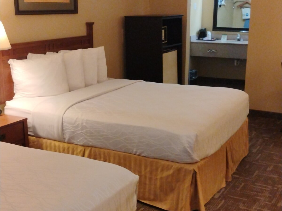 Best Western Executive Inn主图