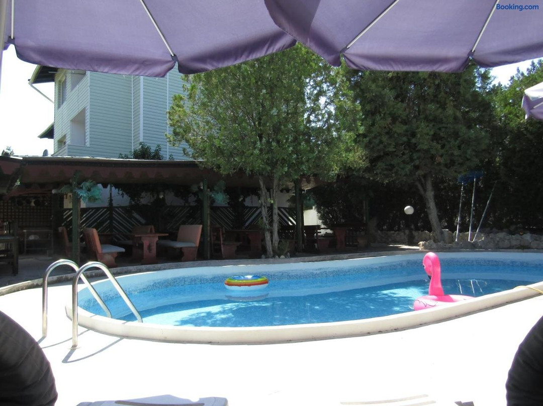 Hostel Papagal