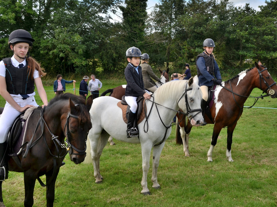 Swinford Agricultural Show-Swinford必去景点