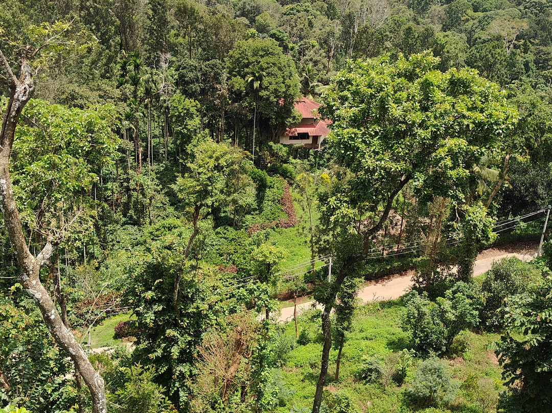 Coorg Cliffs Resort & Spa主图