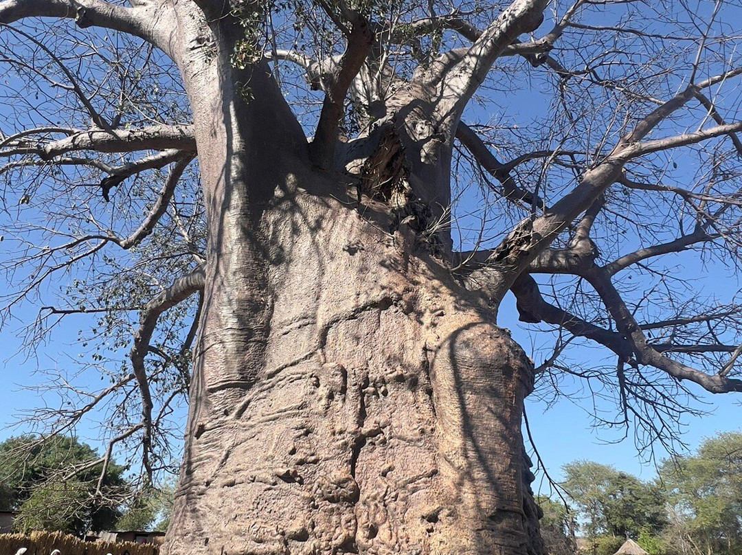Impalila Island-Katima Mulilo必去景点