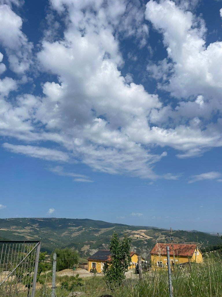 Spazio Natura-官方