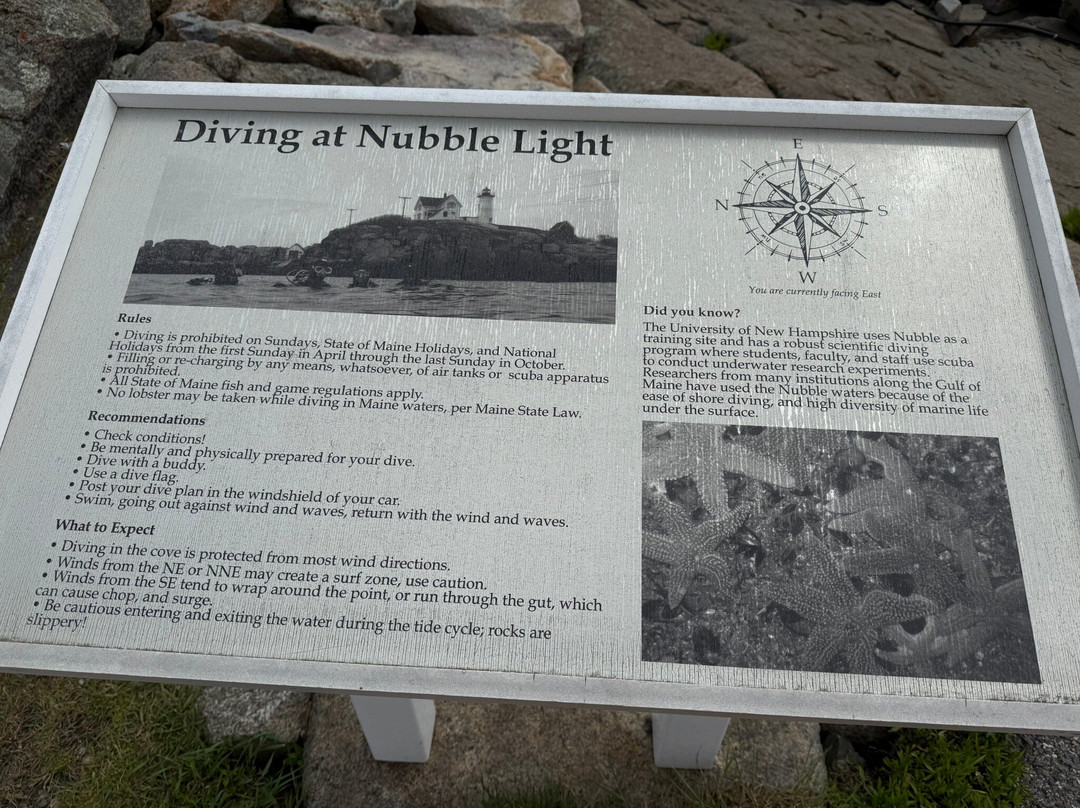 Cape Neddick Nubble Lighthouse-约克必去景点