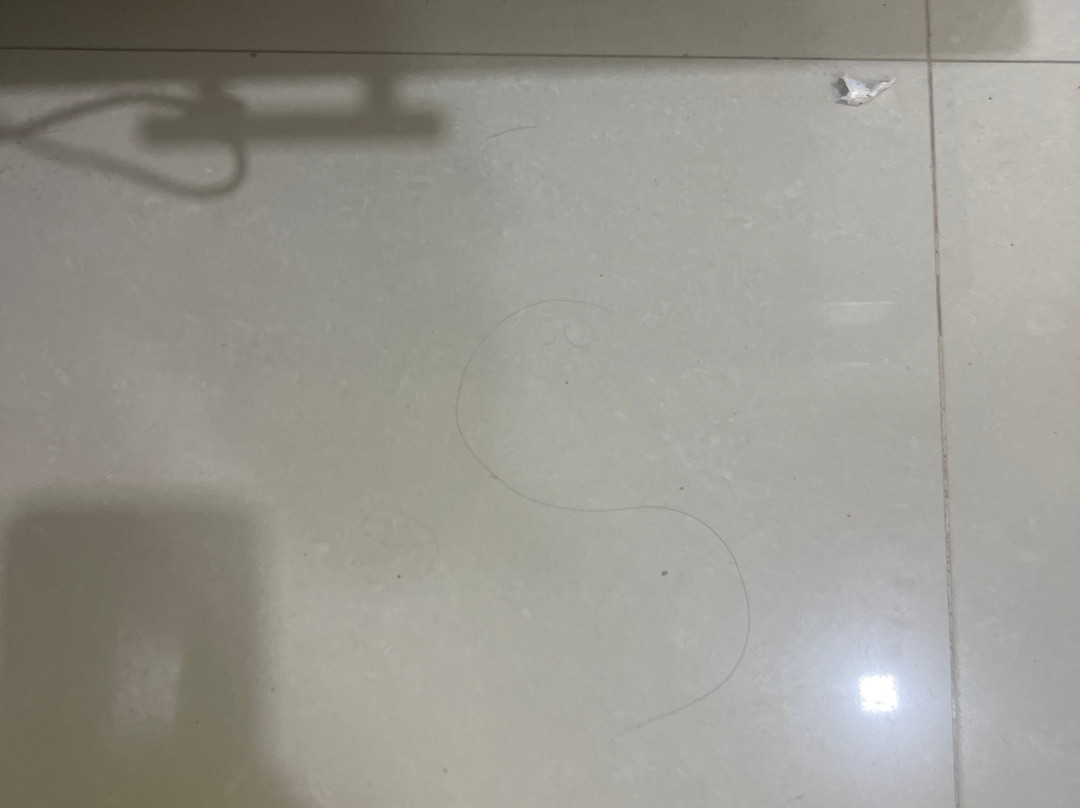 Shree Jee Bhawan主图