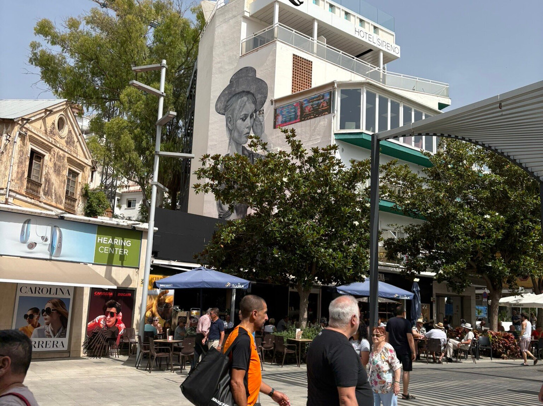 Calle San Miguel-托雷莫里诺斯必去景点