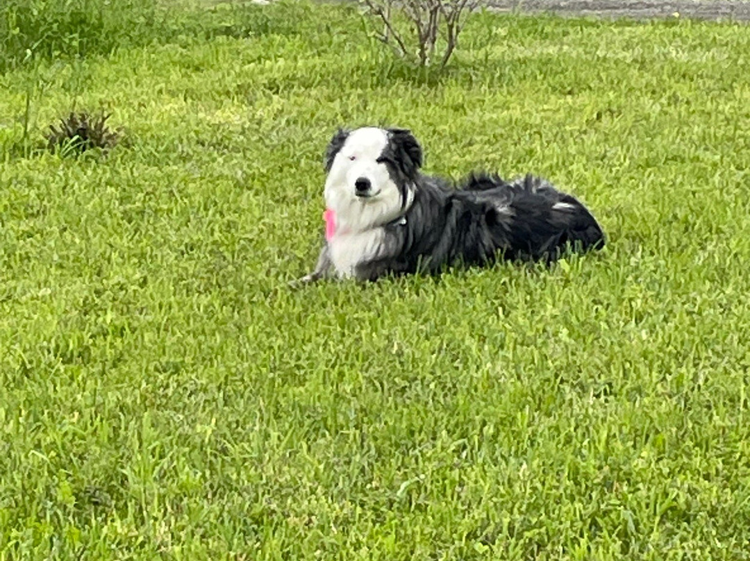 Osmote-Burdett必去景点