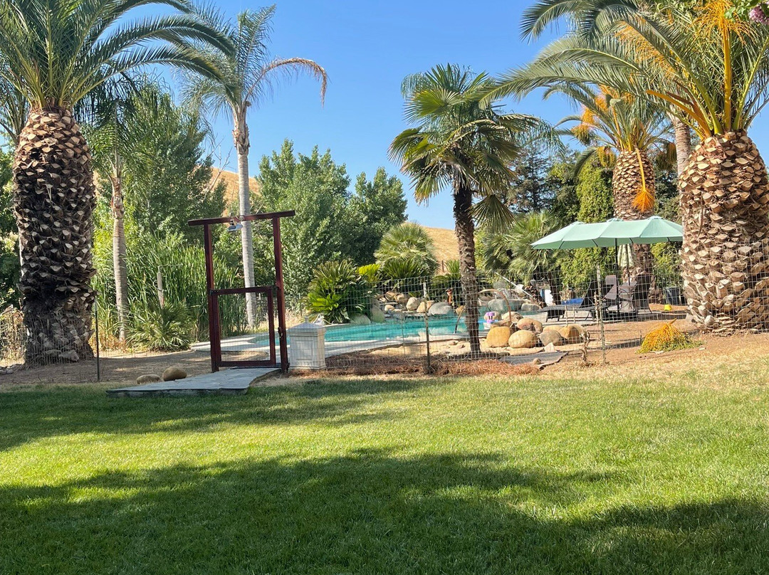 Spring Hill Ranch - Day Classes-Exeter必去景点