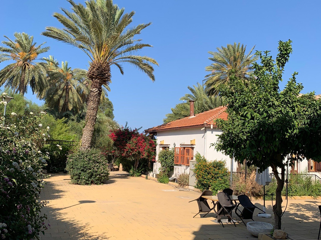 Golden Palms Guest House & Cafe主图