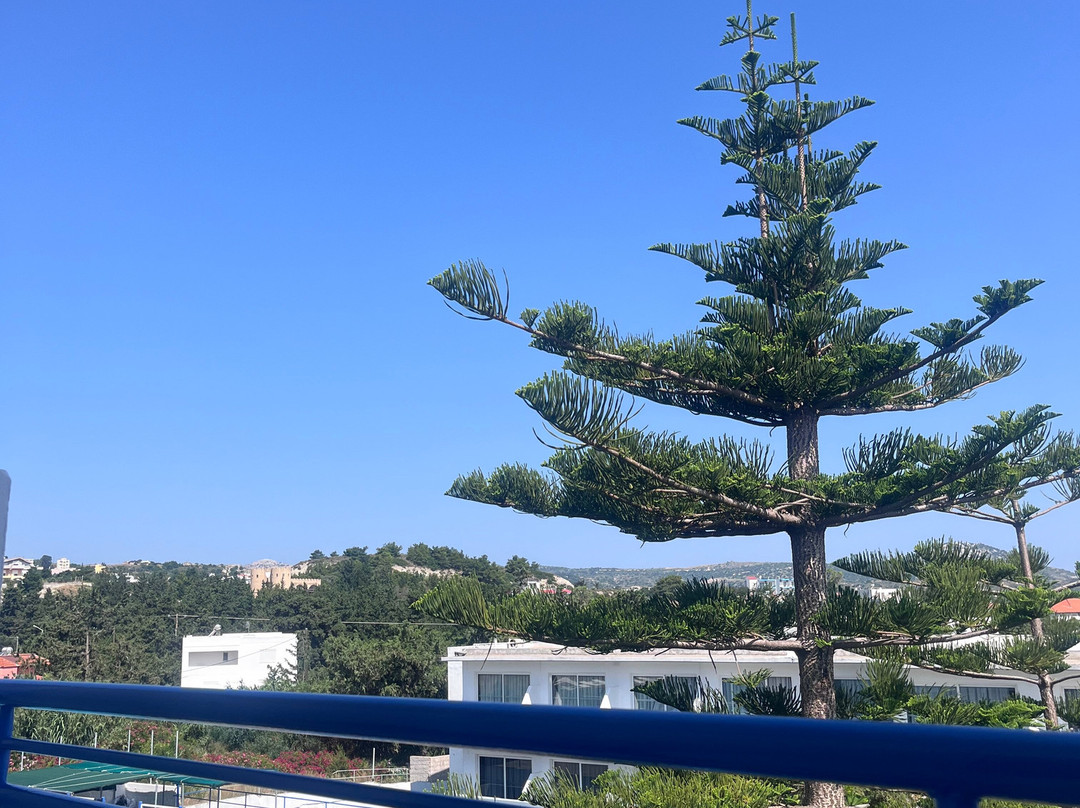 Rodos Sun主图