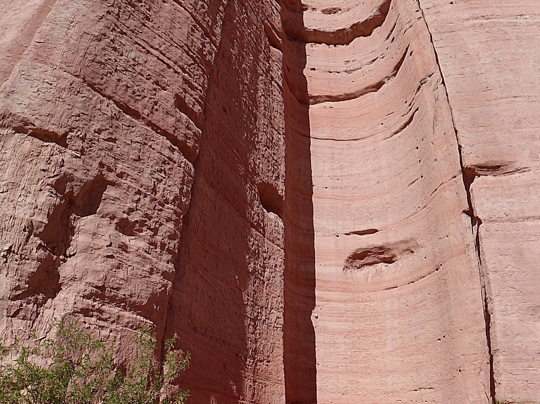 Hotel Don Remo主图