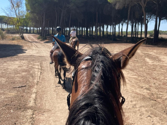 Alsherry Experiences-加的斯市必去景点