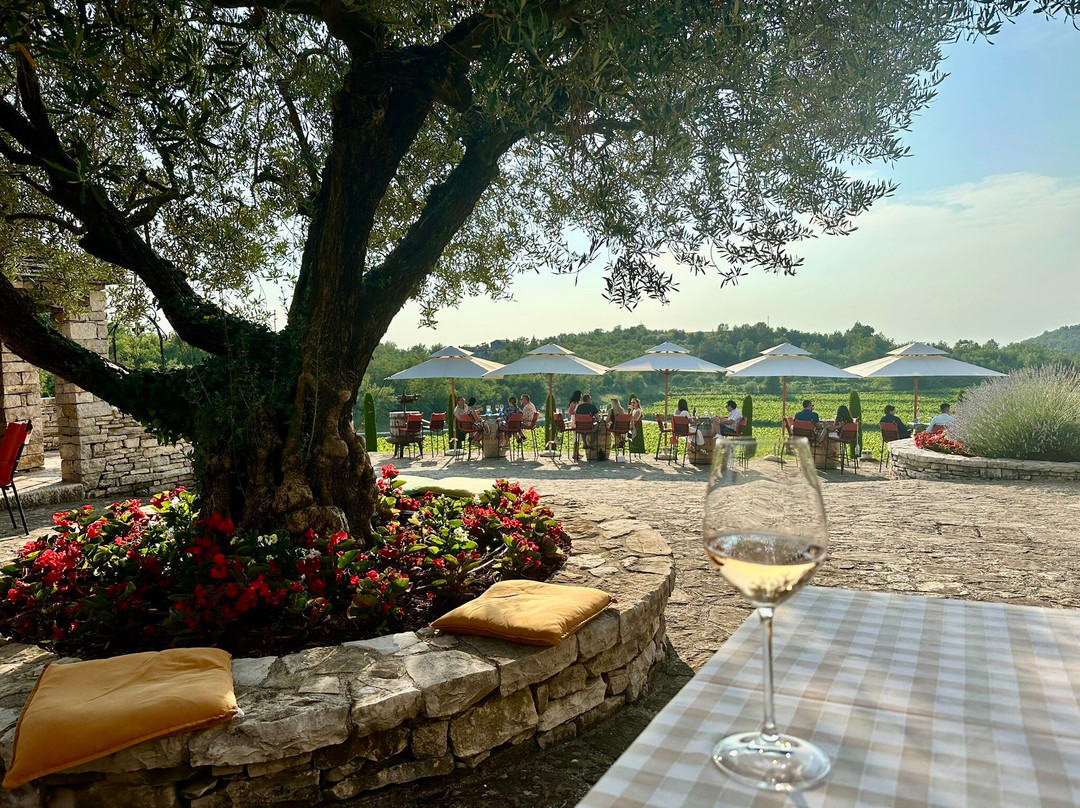 Kabola Winery-Momjan必去景点