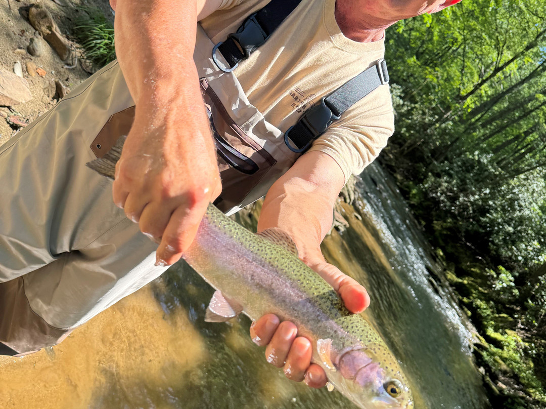 Mountain Troutfitters-Linville必去景点