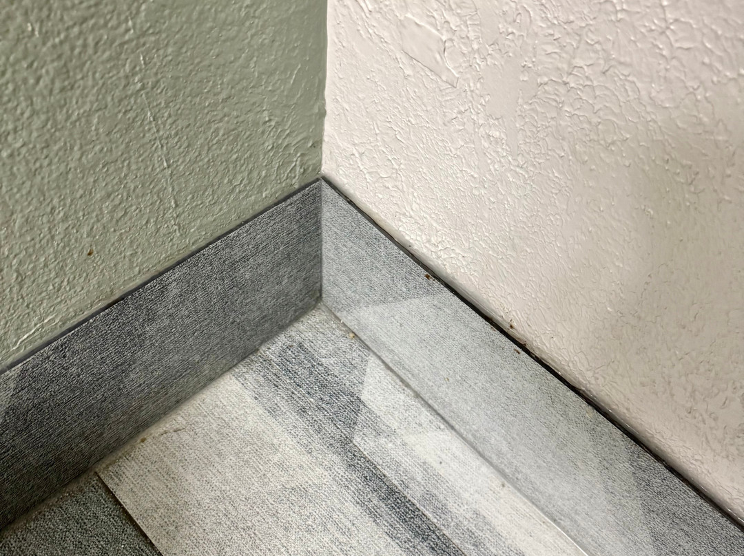 Quality Inn Dalton主图