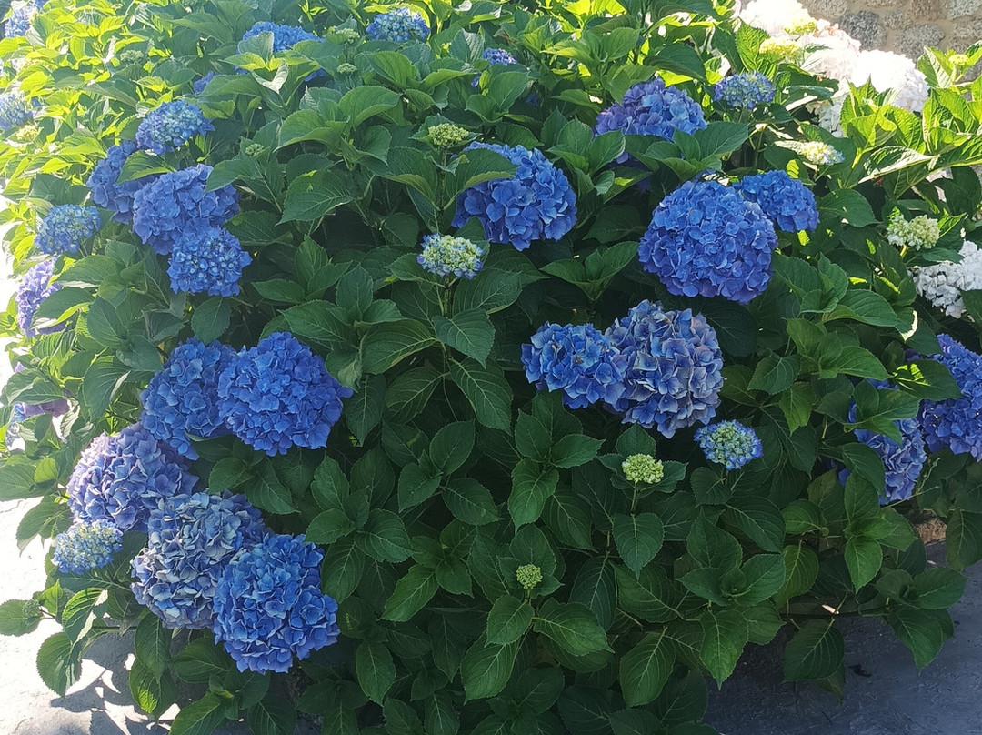 Hotel Rustico Casa Franco主图