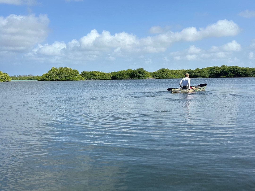 Outdoor Bonaire-Kralendijk必去景点