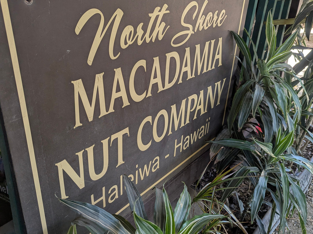 Aina Tours llc-火奴鲁鲁必去景点