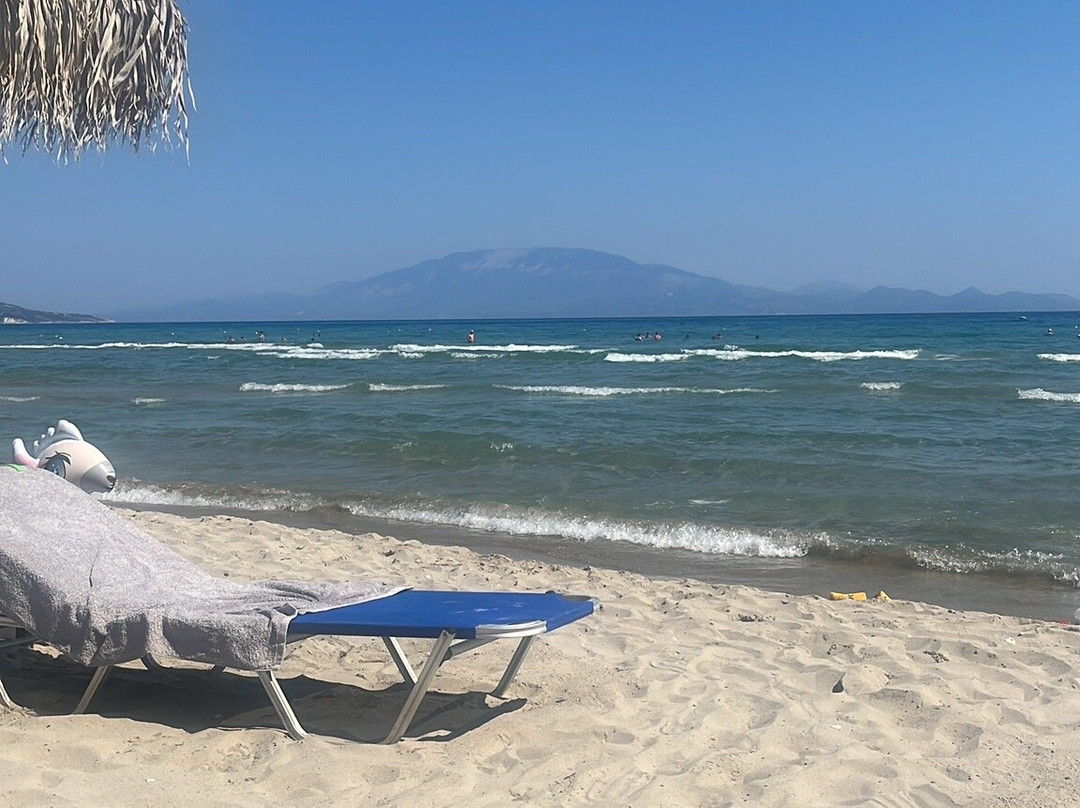 Palm Tree-阿雷克斯必去景点