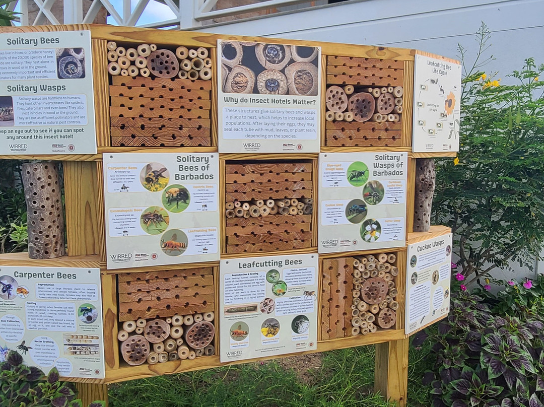 Walkers Reserve-布里奇顿必去景点