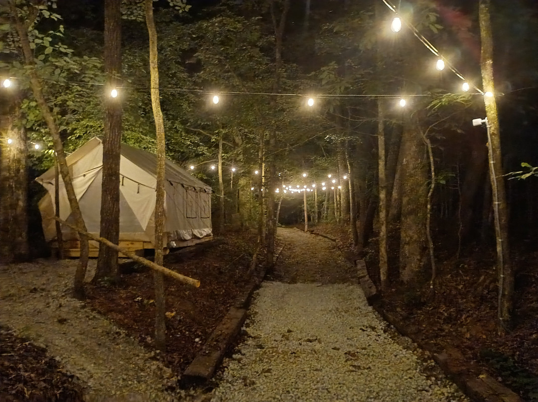 Liberty Road Rv Park-Scotts Hill必去景点