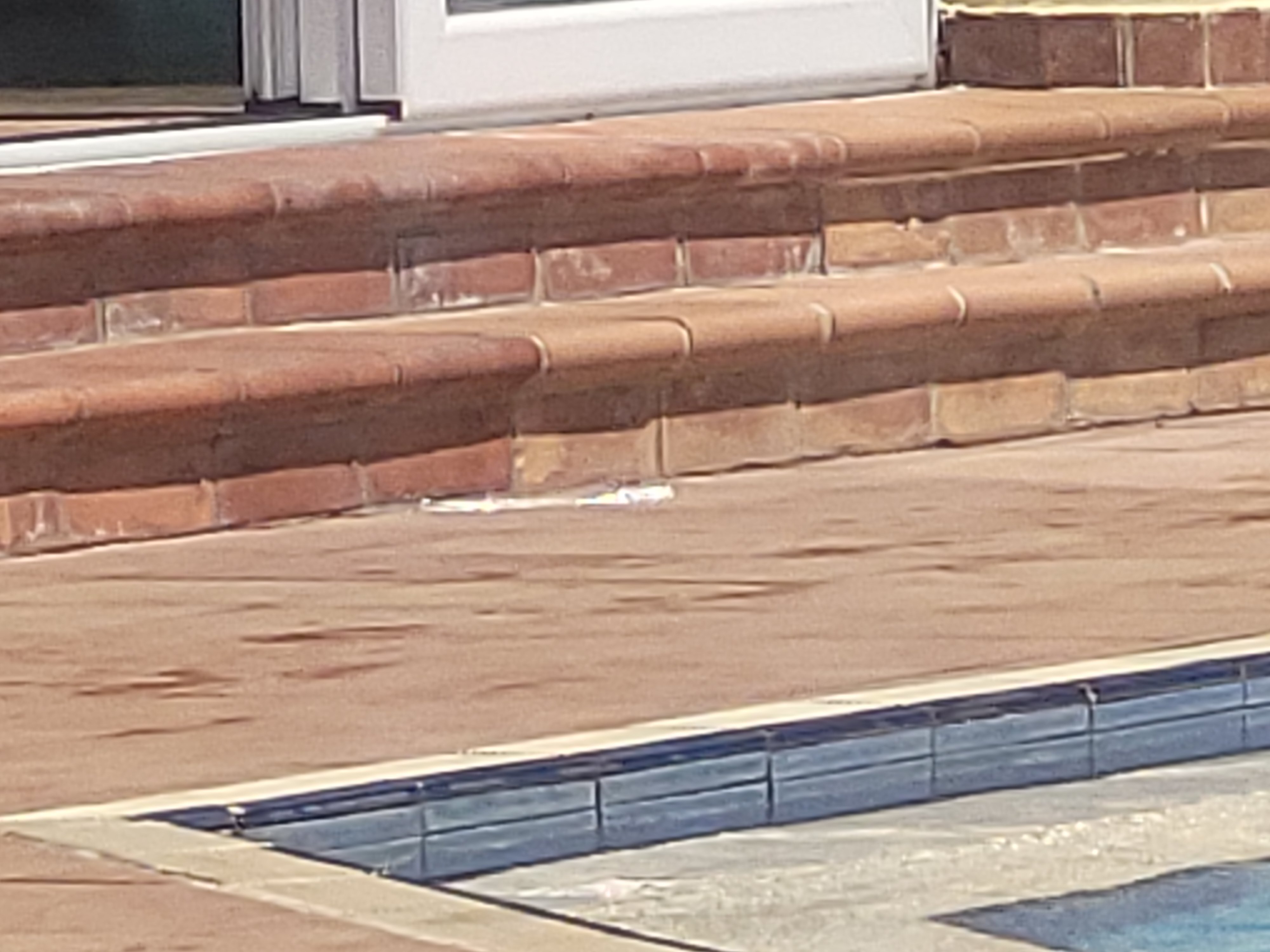 Imperial Hotel-官方