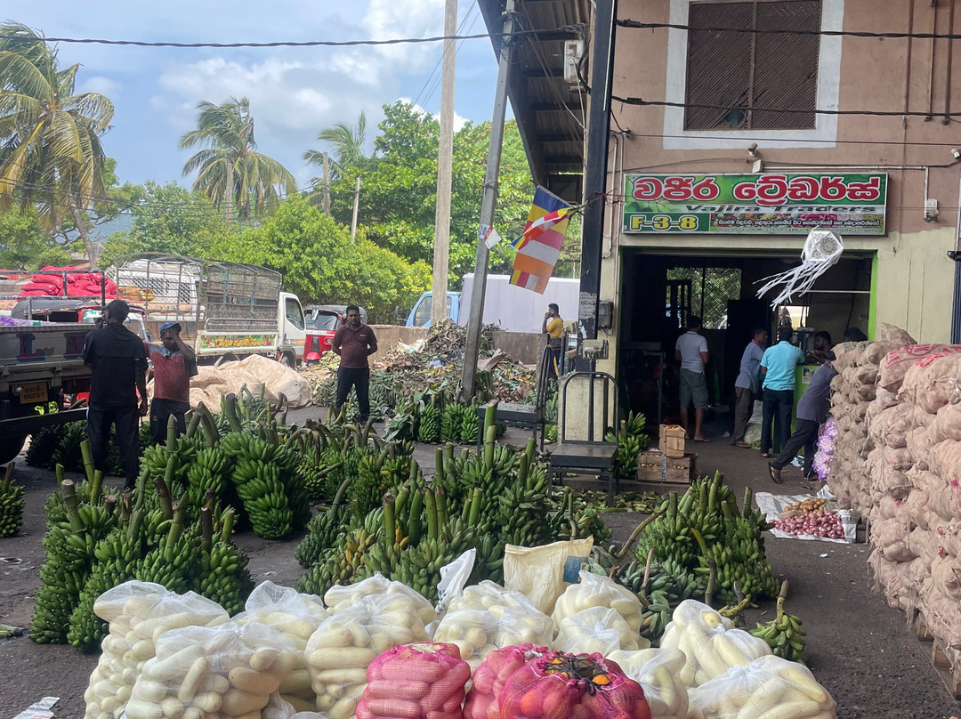 Ceylon leisure travels with sanju-Ja Ela必去景点