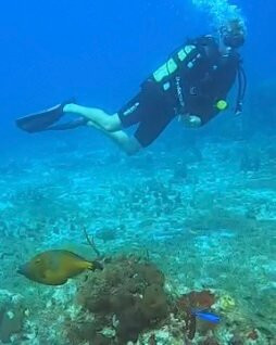 Serial Divers-居斯塔维亚必去景点