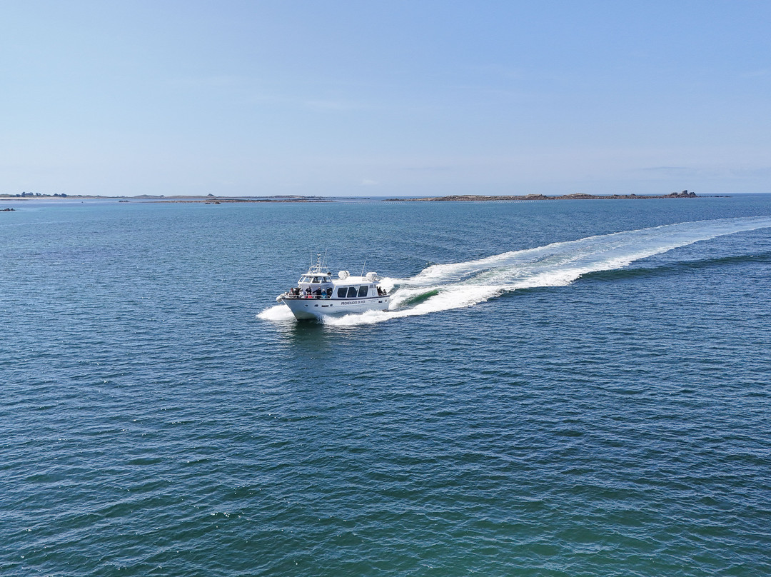 Vedettes des Abers-Landeda必去景点
