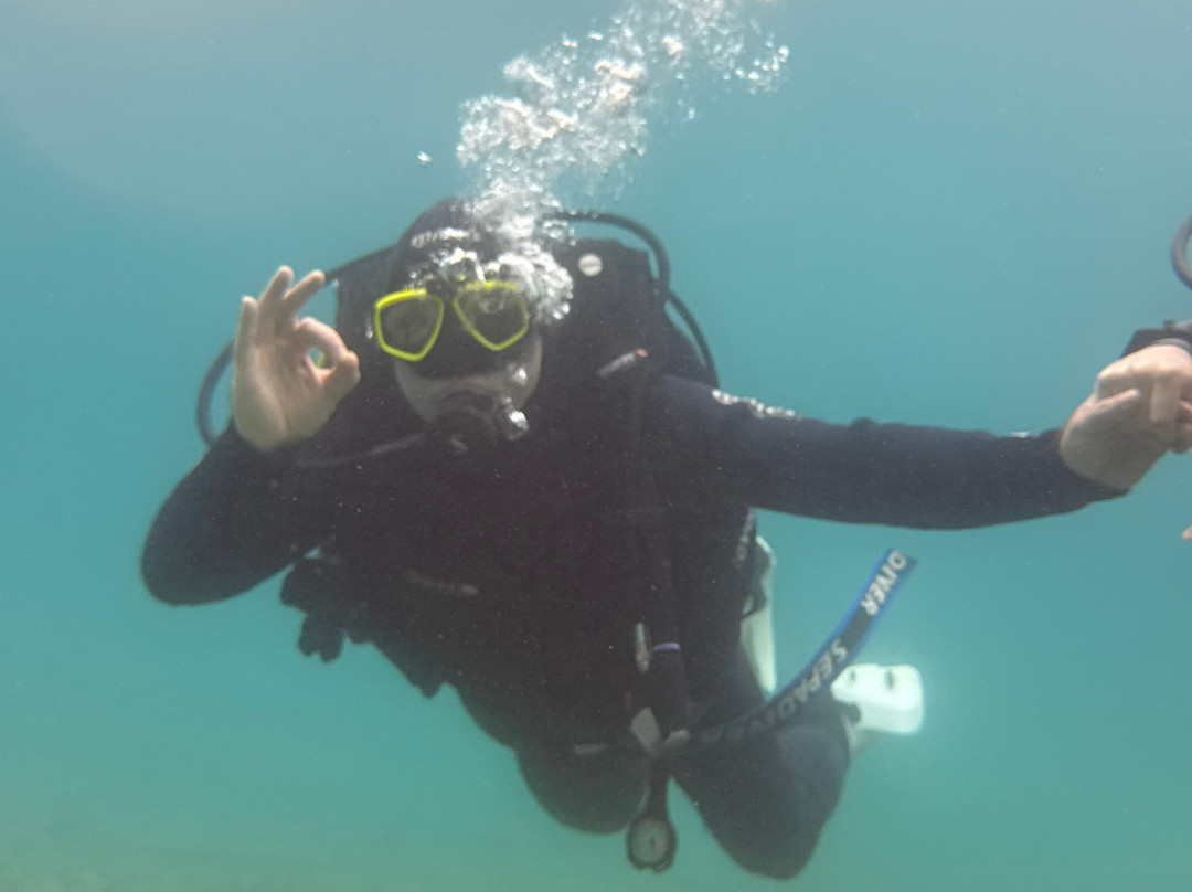 Starfish Diving Center-弗萨必去景点