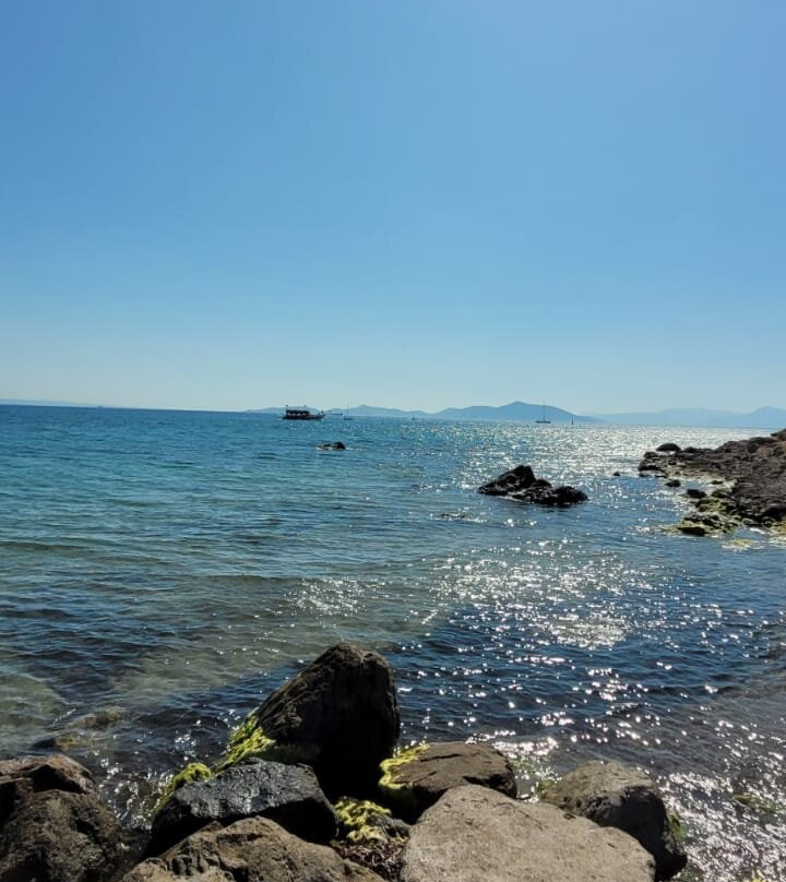Bendis Beach Hotel主图
