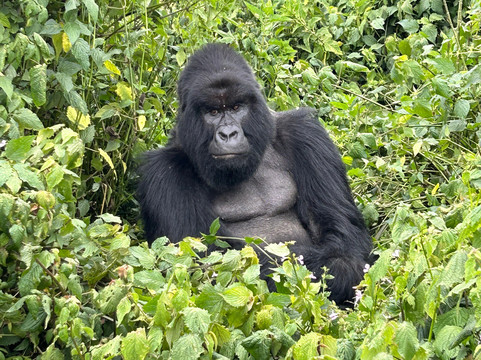 Makario Safaris Ltd.-吉佳利必去景点