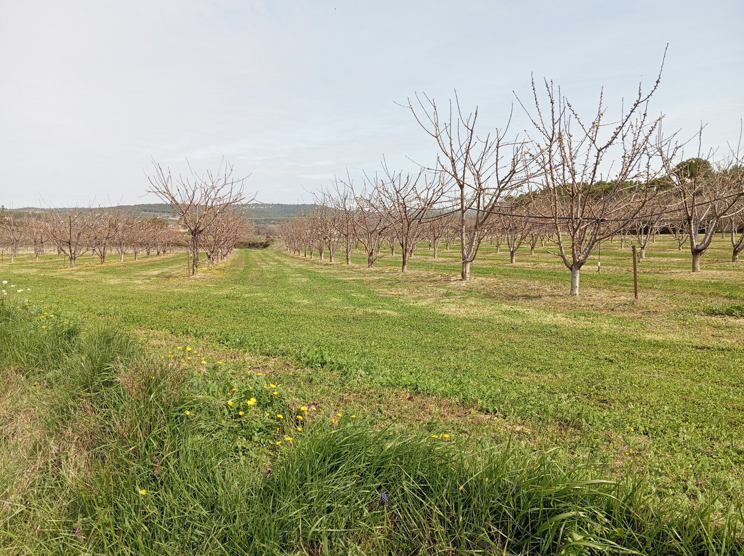Les Promenades de Fleur-Aubignan必去景点