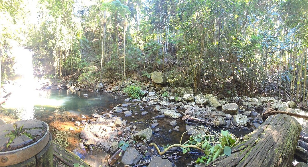 Curtis Falls-丹百林山必去景点