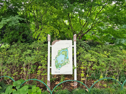 长风公园-上海市必去景点