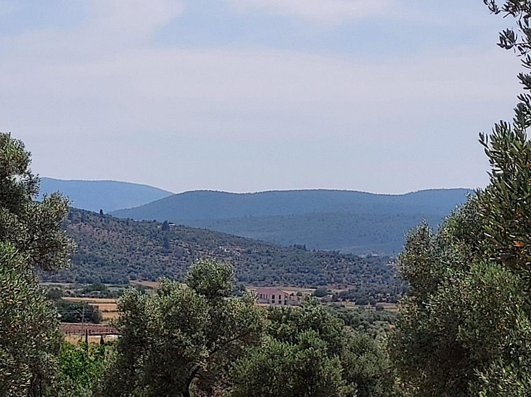 Karnas Vineyards-博德鲁姆必去景点