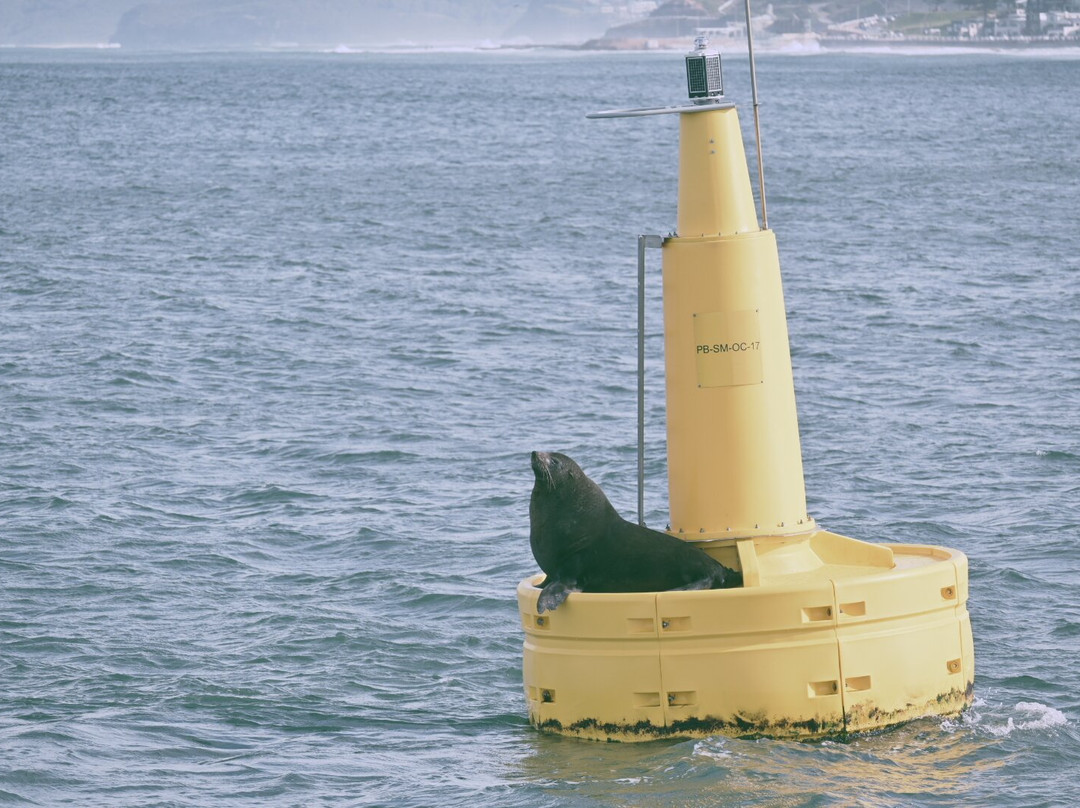 Nova Cruises-纽卡斯尔必去景点