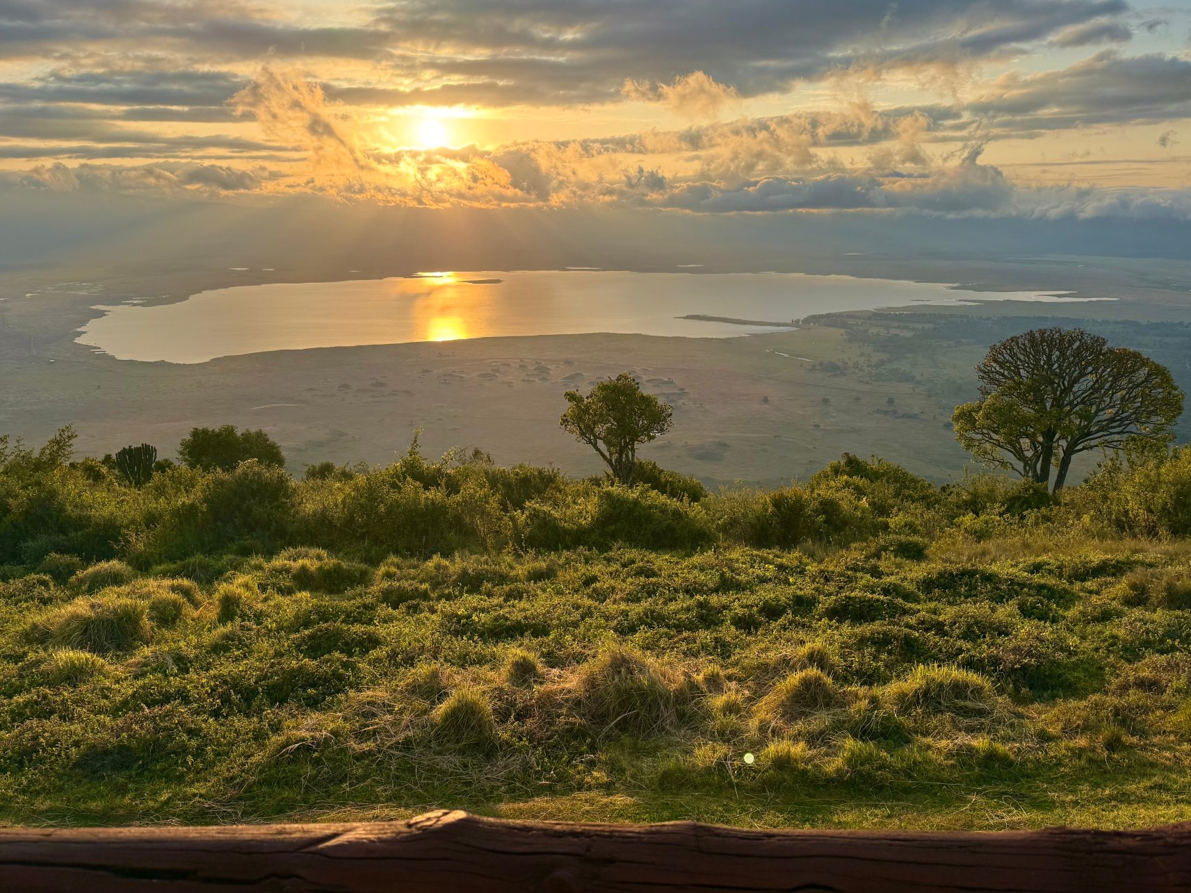 恩戈罗恩戈罗塞雷纳狩猎旅馆-酒店景观