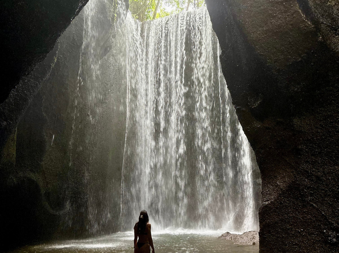 Bali Excelente Tour-登巴萨必去景点