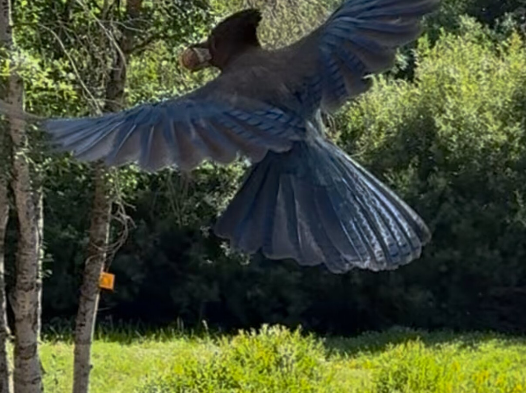 优胜美地大溪住宿加早餐旅馆主图