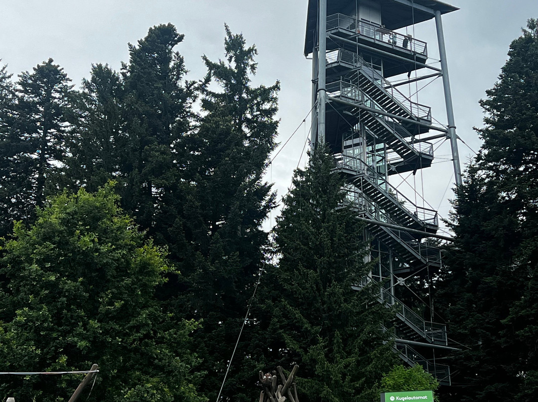 Waldwelt Skywalk Allgäu-Scheidegg必去景点