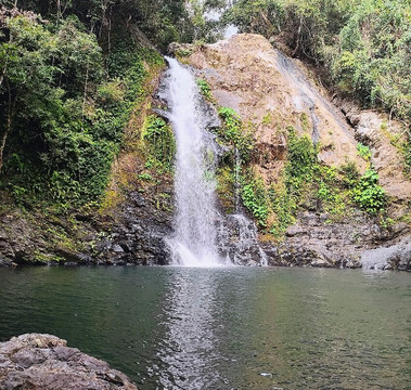 Cassowary Falls ATV Tours-Daintree必去景点