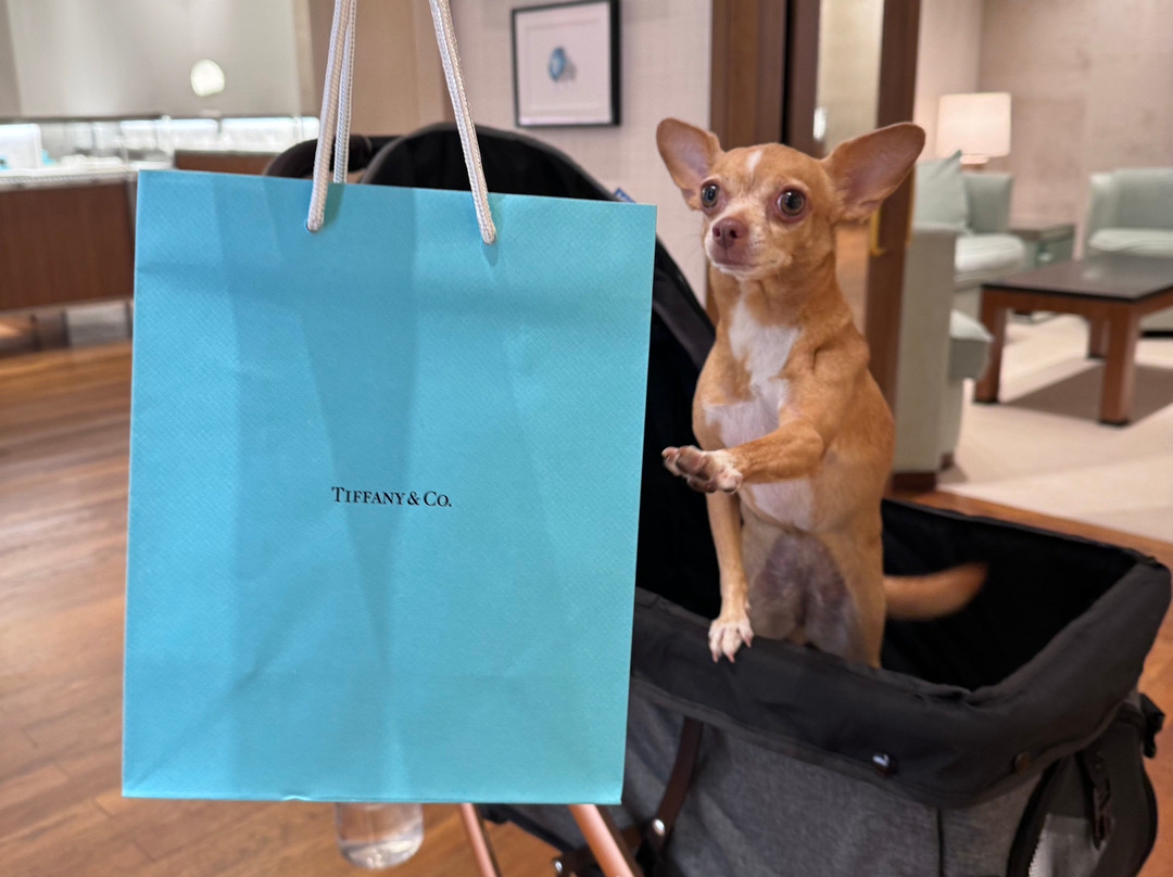 爱文土拉购物中心-阿文图拉必去景点