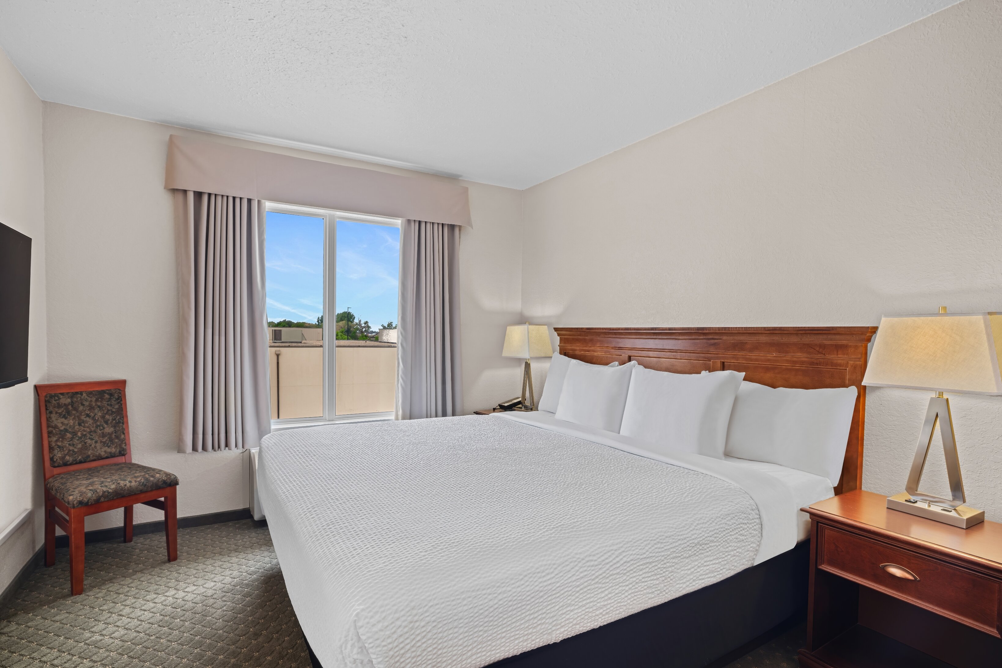 Days Inn & Suites by Wyndham Winkler-客卧