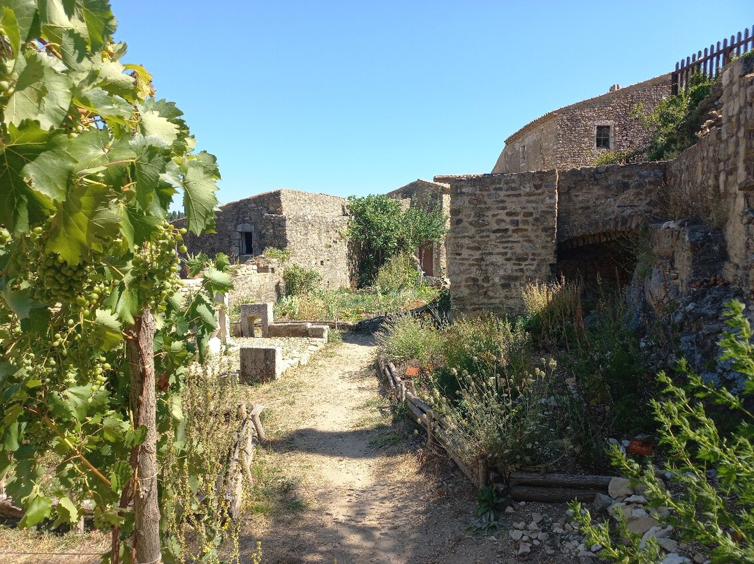 Château de Saint-Montan-Saint-Montan必去景点